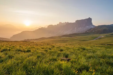 A green meadow with yellow flowers in front, a winding road and a steep mountain peak backlit by the sun.